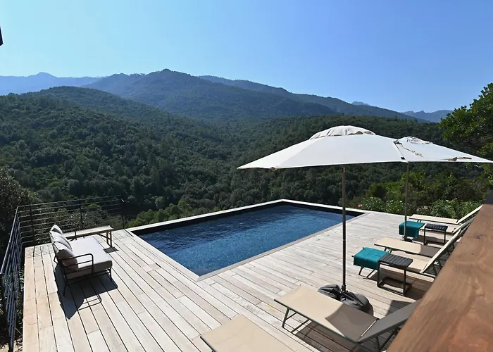 Casa Paula Willa *